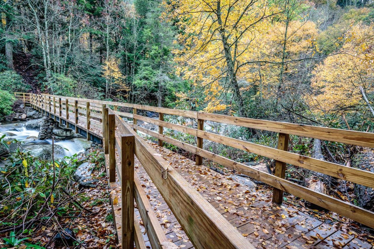 Truly Blessed Villa Gatlinburg Dış mekan fotoğraf